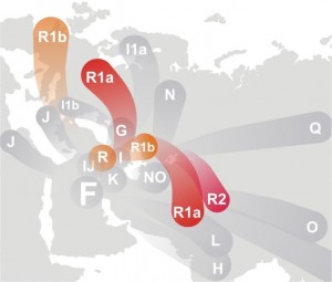 702px-Haplogroup_R_(Y-DNA)